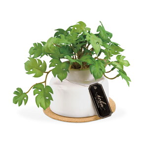 [|Cgő15{] LV} GNA LA[eBtBVO[ ^Cv(M) ~jXe ECLIA KH-61253 ϗtA tFCNO[ lH L CeAG 킢  