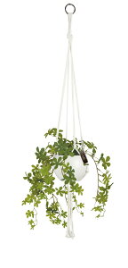 [|Cgő15{] LV} GNA LA[eBtBVO[ nMO^Cv VK[pC ECLIA KH-61270 ϗtA tFCNO[ lH L CeAG 킢 