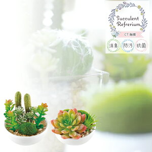[|Cgő15{] LV} TLgtE LA[eBtBVO[ SUCCULENT REFRERIUM ARTIFICIAL GREEN tFCNO[