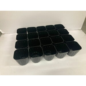 [Gg[P+5{] K[fjO ||bg c|bgh~A|10.5̂ ^LCc