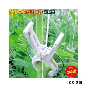 [|Cgő15{] V[ At@  200 V[