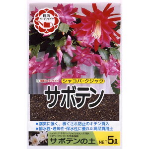 [|Cgő15{] ƒ؉ |{y T{e̓y 5L 