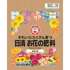 [10Gg[P10{!] ƒ؉ 엿 ꂢɂԔ엿500g 