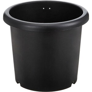 [10Gg[P10{!] Aؔ v^[ e 8 ubN ACJ