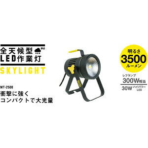[9Gg[P10{!] Ɠ  LED 邢!3500[ WT-2500 SV^LEDXJCCg30W RZg h TV RITEX CebNX
