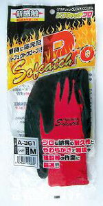 [|Cgő15{] ӂ A-361 bh \tLb`Pro L