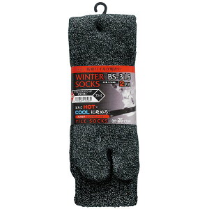 [|Cgő15{] C BS-315 pC\bNX N ^r^ (2P) ubN CgO[ [N} c[O TCNO AEghA ނ  X|[c