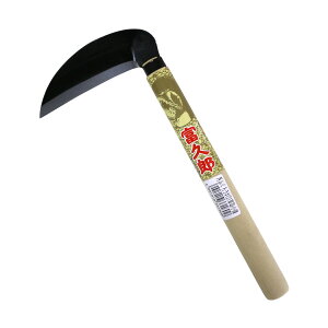 [|Cgő15{] ӂ낤 #121 揬