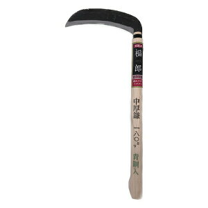 [|Cgő15{] Y #427 |n 180mm