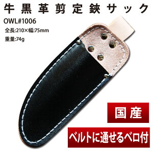 [|Cgő15{] |  nT~P[X OWL #1006 vTbN ݃J