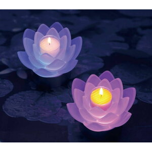 [9Gg[P10{!]LOTUS GRACE 2Zbg DX #08361400 yKTXLh 낤 [\N drʔ Zbg 2Zbg [\N @̉ [^X d E\N ledR[X^[ XC yb