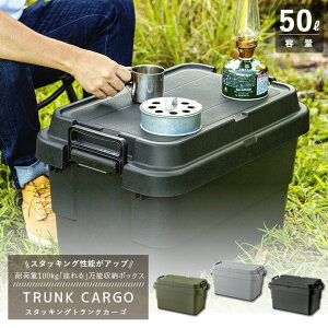 [|Cgő15{] gNJ[S TC-50S X^bLO^Cv Rei[ e50L 3FIׂ܂(O[ O[ ubN) X [P[X