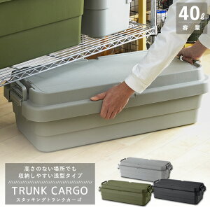 [Gg[P+5{] gNJ[S TC-70S-LOW ^X^bLO^Cv Rei[ e30L 3FIׂ܂(O[ O[ ubN) X [P[X