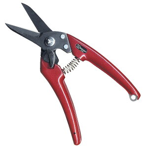 [Gg[P+5{] fB[X tbfHn 185mm EX-7 T{e Saboten _ | K[fjO ؒf 悭؂ ʎ  X   s