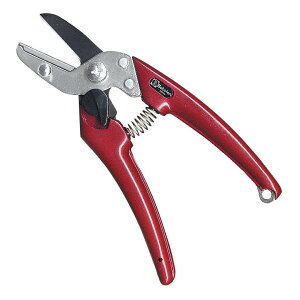 [|Cgő15{] fB[X tbfHn 175mm EX-8 T{e Saboten _ | K[fjO ؒf 悭؂ ʎ  X   s