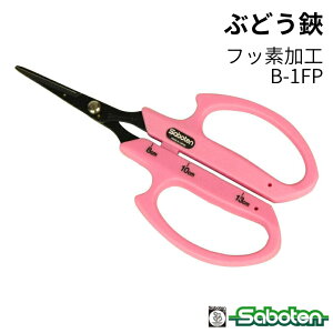 [|Cgő15{] Ԃǂ sN tbfH XeX B-1FP T{e Saboten v uhE_ E [Â ɂ @ׂȍƂT|[g ʎ E ̉ ̎