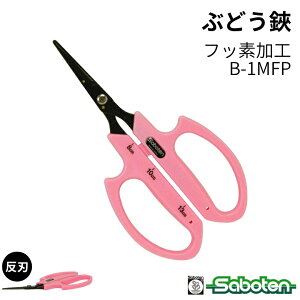 [|Cgő15{] Ԃǂn sN tbfH XeX B-1MFP T{e Saboten v uhE_ E [Â ɂ @ׂȍƂT|[g ʎ E ̉ ̎