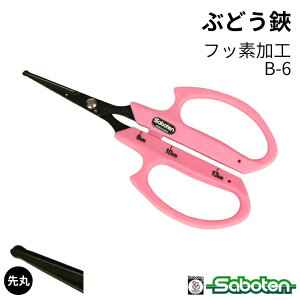 [|Cgő15{] ۂԂǂ sN tbfH XeX B-6 T{e Saboten v uhE_ E [Â ɂ @ׂȍƂT|[g ʎ E ̉ ̎