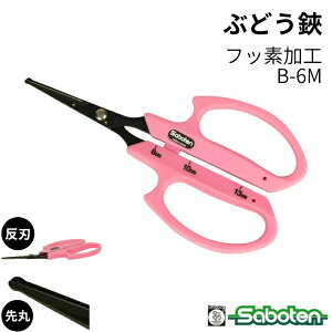 [|Cgő15{] ۂԂǂnsN tbfH XeX B-6M T{e Saboten v uhE_ E [Â ɂ @ׂȍƂT|[g ʎ E ̉ ̎