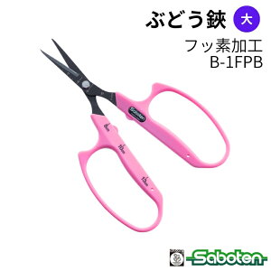 [|Cgő15{] nhԂǂגn B-1FPB T{e Saboten v uhE_ E [Â ɂ @ׂȍƂT|[g ʎ E ̉ ̎