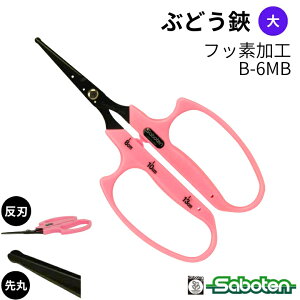 [|Cgő15{] nhԂǂ ۔n B-6MB T{e Saboten v uhE_ E [Â ɂ @ׂȍƂT|[g ʎ E ̉ ̎