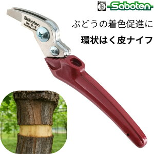 y؂ɏĒFiz Ԃǂ ͂iCt T{e B-9 ͂ iCt uhE   }   Fi _  v