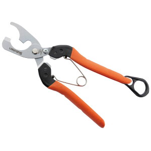 [10Gg[P10{!] 2iLY MEBUKI B-11 T{e Saboten v uhE_ E [Â ɂ @ׂȍƂT|[g ʎ E ̉ ̎