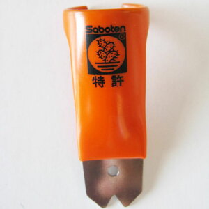 [|Cgő15{] Ƃ R^ IW XeX 5-D T{e Saboten  G  ނ | K[fjO