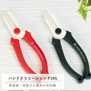 [|Cgő15{] ⌹ nhNG[V F165 z rV^Cv tbfH ϔ ͂ nT~ |͂ K[fnT~ E͂ EʃnT~ nnT~ nT~|p 