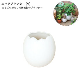 楽天市場 たまご プランターの通販