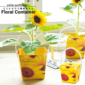 [|Cgő15{] ƒ؉ GD-434 X}C Tt[ t[Rei ~jq} V|