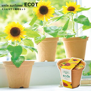 [|Cgő15{] ƒ؉ GD-435 X}C Tt[ GRbg ~jq} V|