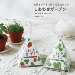 [|Cgő15{] ƒ؉ GD-347 킹K[f (ChXgx[܂̓N[o[) V|