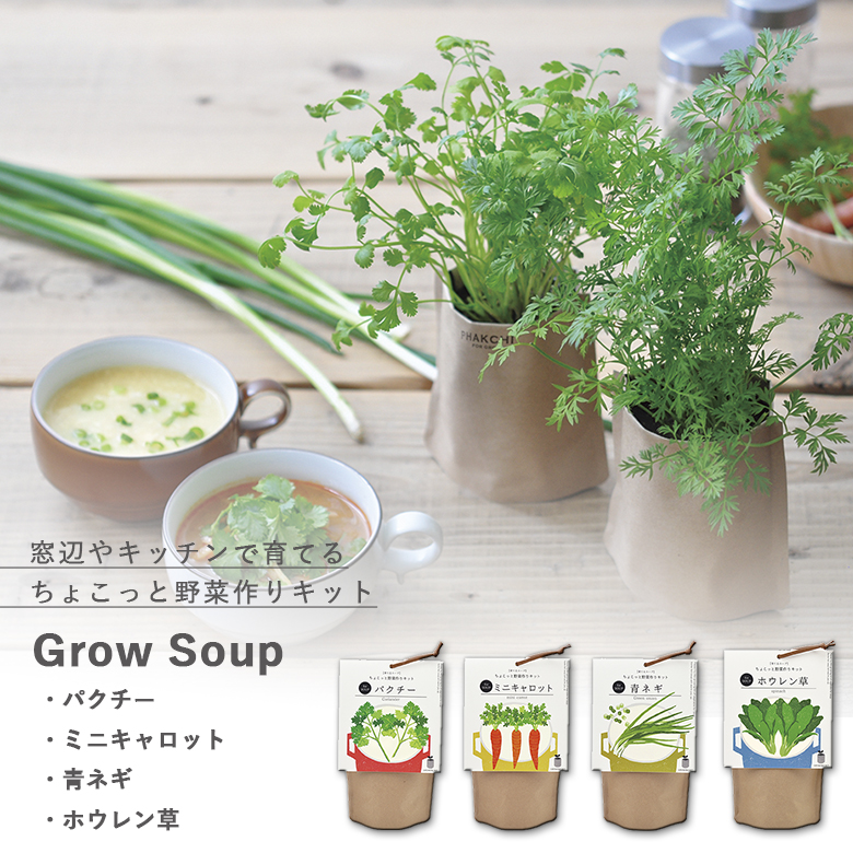 ミニ栽培セット。  GD-795 育てるスープ 4種類から選べます パクチー・ミニキャロット・青ネギ・ホウレン草