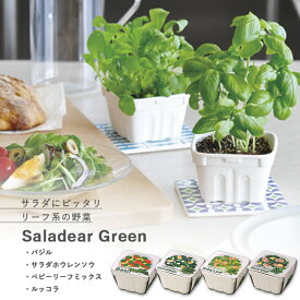 家庭菜園 GD-862 サラディアグリーン 4種類から選べます(バジル サラダホウレンソウ ベビーリーフミックス ルッコラ) 聖新陶芸