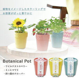 [10Gg[P10{!] ƒ؉ GD-904 {^jJ|bg 3ނIׂ܂(ChXgx[ ~jq} lt̃N[o[) V|