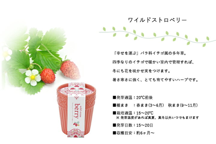 441円 最新号掲載アイテム 聖新陶芸 ボタニカルポット ミニヒマワリ サイズ 441円 最新号掲載アイテム 聖新陶芸 ボタニカルポット ミニヒマワリ サイズ