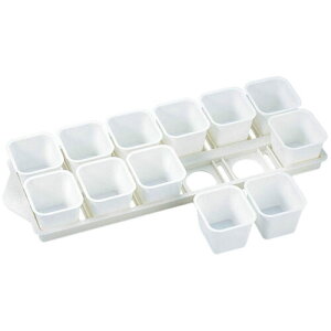 [|Cgő15{] ^CK[NE Cake land ACXo[O 12P 216