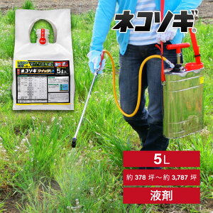 [|Cgő15{] _ lR\MNCbNv FL 5L XXL  hN_~ 鐫A |  G C{[  |    ԏ XXL  hN_~ 鐫A |  G C