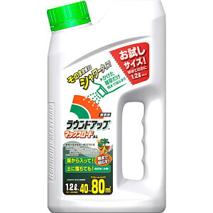 [10Gg[P10{!] ~g XMi hN_~ |   EhAbv }bNX[hAL ̂܂܃V[ 1.2L YEh G   c^ c OzT[g WFlbN 