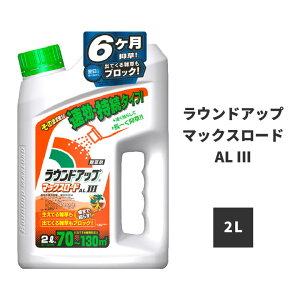 [10Gg[P10{!] ~g XMi hN_~ |   EhAbv }bNX[hAL III (̂܂܃V[UE^Cv) 2L YEh G    OzT[g W