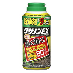 [9Gg[P10{!] ZFw| NTmEX 400g 