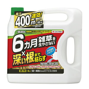 [10Gg[P10{!] ZFw| ގKOV[ 4L 