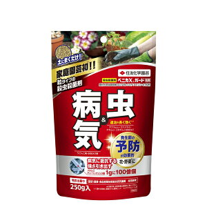 [9Gg[P10{!] ZFw| xjJXK[h 250g EEۍ
