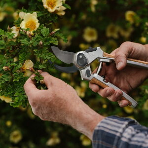 [|Cgő15{] K&S Eversharp Bypass Secateurs ΂ pr 24mm _ | K[fjO ؒf 悭؂ ʎ    s #00558