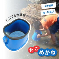 楽天市場】水中 箱 メガネの通販