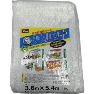 [|Cgő15{] ^JCN B-305 V[X[V[g 3.6m×5.4m pi V[gE[v J[V[g