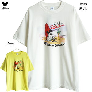  TVc ~bL[ Y fBYj[ ~bL[}EX TOX nCA TZbgr[` T[tB M^[ f  CLL USA Ò re[W g A 