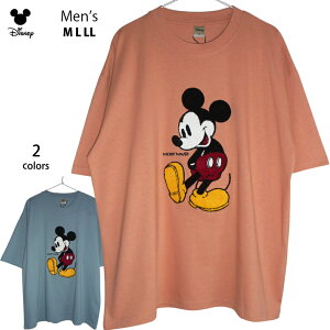  TVc ~bL[ Y fBYj[ ~bL[}EX ǎh? 傫TCY  Ch  ݃J[ USA ÒfUC re[W g fB[X rbOTCY disne