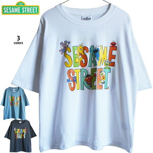  TVc ZT~Xg[g fB[X Y G NbL[X^[ Ar[IXJ[ rbOo[h A[j[ o[g O[o[ Ch  rbOTVc USA rbOTC